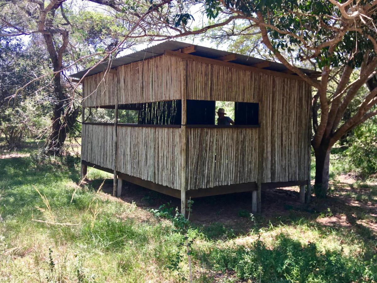 Villa Imani Bush House & Silver Sky Chalet Hluhluwe Exterior foto