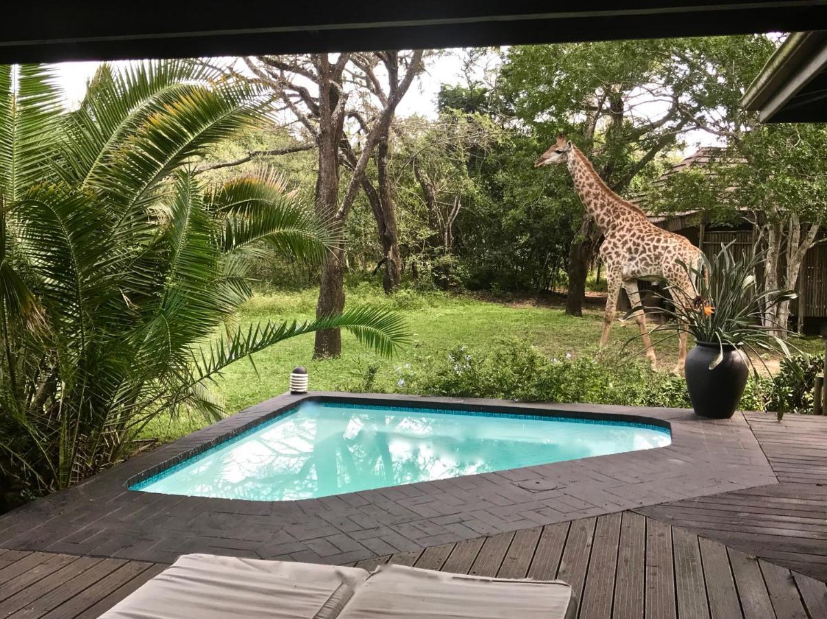 Villa Imani Bush House & Silver Sky Chalet Hluhluwe Exterior foto